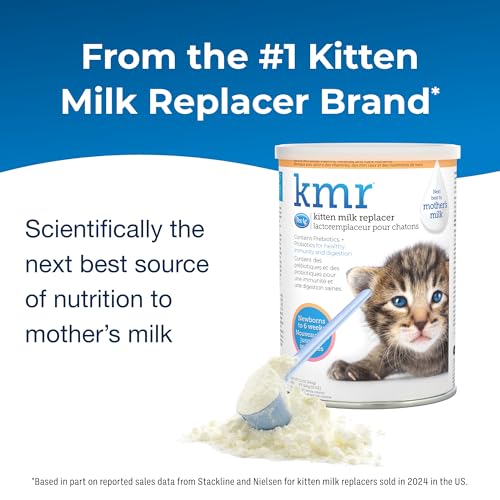 PetAg KMR Kitten Milk Replacer Powder - 12 oz - Powdered Kitten Formula with Prebiotics, Probiotics & Vitamins for Kittens Newborn to 6 Weeks Old - Easy to Digest