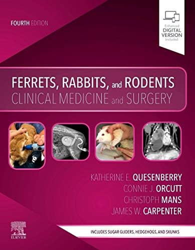 Canine and Feline Respiratory Medicine: Johnson, Lynelle R