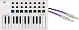 Arturia MiniLab MkII 25 Slim-key Controller + Pro