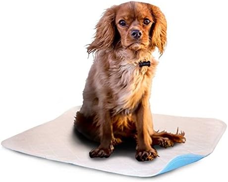 LennyPads Whelping Pads - Ultra Absorbent, Reusable, Training, Housebreaking and Travel Washable Pee Pads – 6 Pack (23”x27”) Large Pad