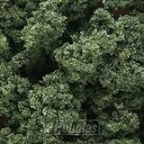 Woodland Scenics FC183 Medium Green Clump Foliage