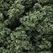 Woodland Scenics FC183 Medium Green Clump Foliage