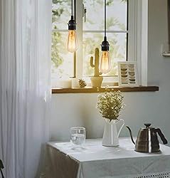 Hanging Lights with Plug in Cord, FadimiKoo Hanging
