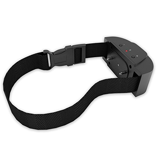 Best Bark Collar for Dogs 2020 Happy Pets Now