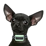 Dog Training Collars for Small Dogs - RECHARGEABLE and PAIN FREE - Extra Small to Small Size - Vibration - No Bark Collar - Our K9 "Mint"