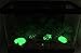 Large Glow in the Dark Fish Tank Cobble Stones ~ Glowing Rocks ~ Aquariums - Gardens (Green)