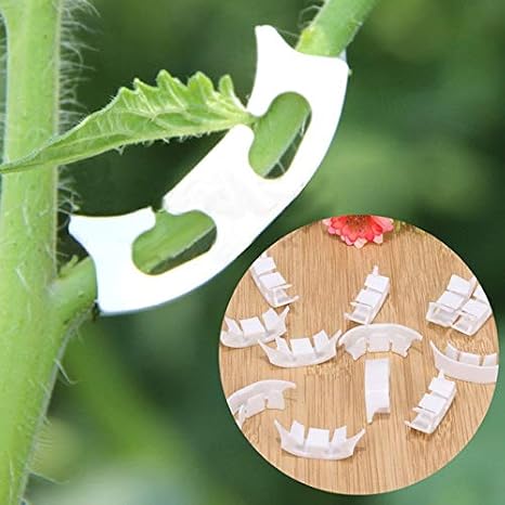100 piezas por lote, soporte de plástico para plantas de 30 mm ...