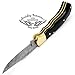 Beautiful Black Micarta 6.5'' Handmade Damascus Steel Brass Bloster Folding Pocket Knife Back Lock 100% Prime Quality