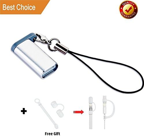 ANIASOM Pencil Charging Adapter Replacement for Apple, Aluminum Case Charger Adapter with Key-Ring, Portable Female to Female Lightning Charging Connector for iPad Pro