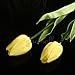 10pcs Wholesale Tulip Flower Latex Real Touch for Wedding Bouquet Decor Best Quality Flowers (KC453 yellow tulip)