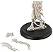 Privateer Press Hordes - Legion - Forsaken Model Kit