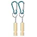 Michael Josh 2PCS Outdoor Loudest Emergency Survival Whistle with Carabiner and Lanyard for Camping Hiking Dog Training (Gold)