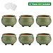 T4U Small Green Ceramic Succulent Planter Pots with Drainage Hole Set of 6, Spring Glaze Porcelain Handicraft Plant Holder as Gift for Mom Sister Daughter for Home Office Garden Desktop Decoration