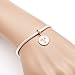 Rose Gold Zodiac Sign Charms 925 Sterling Silver Constellation Dangle Charm for European Bracelet (Aries)