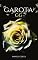 Livro Garota GG VI