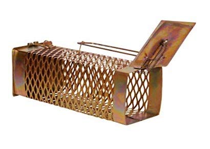 Moira Small Iron Rat Trap/Rodent cage/Mouse Control(22 cms X 9 cms X 8 cms)
