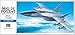 Hasegawa Accurate Scale Model