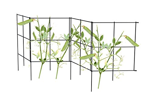 Panacea 83830 Small Space Expandable Tomato Tower 2 Pk. Raised-Garden-Kits, 20 in. H Black