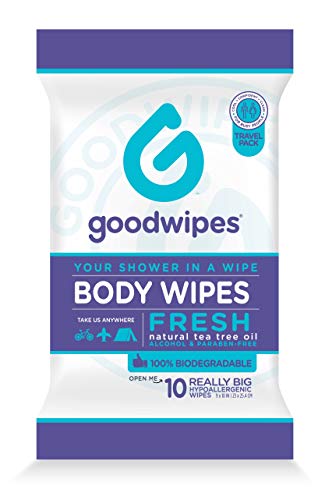 1 Goodwipes+Really+Wipes+Travel+Fresh