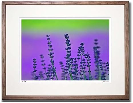 Amazon アートフォトフレーム ラベンダー1 中富良野町 富良野 高橋真澄 絵画 壁掛け のあゆわら アートフレーム ポスター オンライン通販
