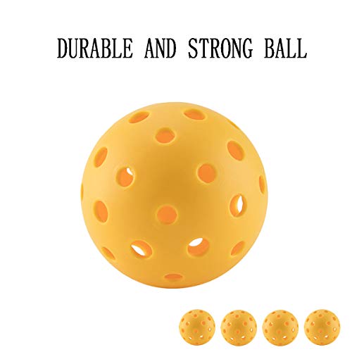 Babe Fairy Pickleball Paddle Set-Wooden Pickleball Kit-Outdoor Sport Rackets Toys for Young Kids(2 Pickleball Paddles+4Balls+1Mesh Carry Bag)