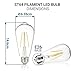 Hyperikon LED Filament ST64 Bulb, 5W=40W, Vintage Filament Bulb, E26 Base, Dimmable, UL, Soft White, 6 Pack