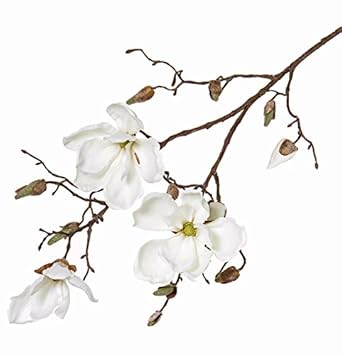artplants Künstlicher Magnolienzweig KIMIKA, 3 Blüten, Creme, 85 cm - Frühlingsdeko/Künstliche Magnolien