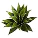 Nearly Natural 6109-S2 Agave Succulent Plant, 17-Inch, Set of 2
