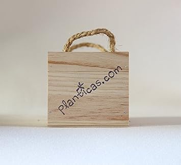 Kit de Huerto Urbano: Perejil, Albahaca y Cilantro: Amazon.es: Jardín