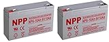 NP 6V 10Amp 6 Volt 10Ah SLA Battery With F1 Style Terminals / 2 Pack