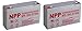 NP 6V 10Amp 6 Volt 10Ah SLA Sealed Lead Acid Battery With F1 Style Terminals / 2 Pack