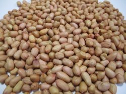 落花生 生　小粒　1kg
