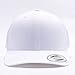 Flexfit Yupoong 6606,6606T Retro Trucker Hat, White, One Size