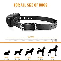 Dog Training Collar with Remote - Advanced