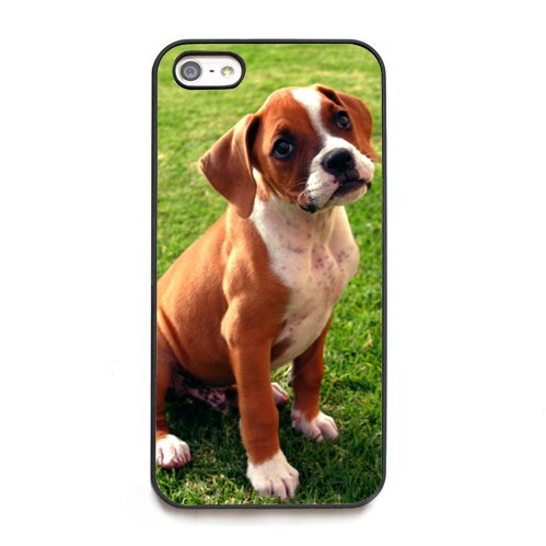Boxer Chien Chiot Hd Iphone Housse étui Coque Rigide Protège