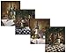 Set of 4 Classy Wine Bottles Grapes Gourmet Fruit Art Prints Posters 11x14 Inches Kitchen Cafe Home Decor Great for Framing!