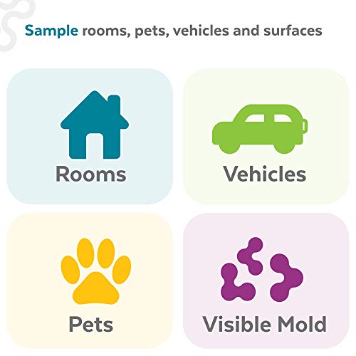ImmunoLytics DIY Mold Test Kit Easy to Use Precise Mold Detection and Identification 3 Swab