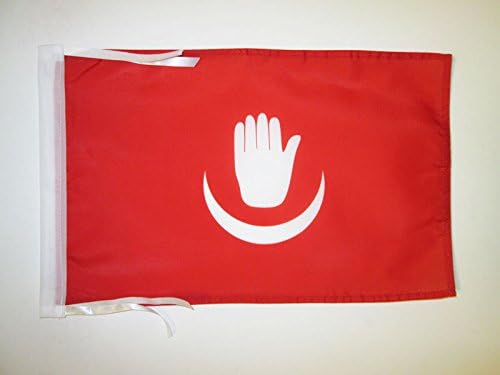 AZ FLAG, Autonomous Island of Anjouan Flag, 18'' x 12'', 100% Polyester Ndzuwani Small Banner with Two Cords, Fade Resistant