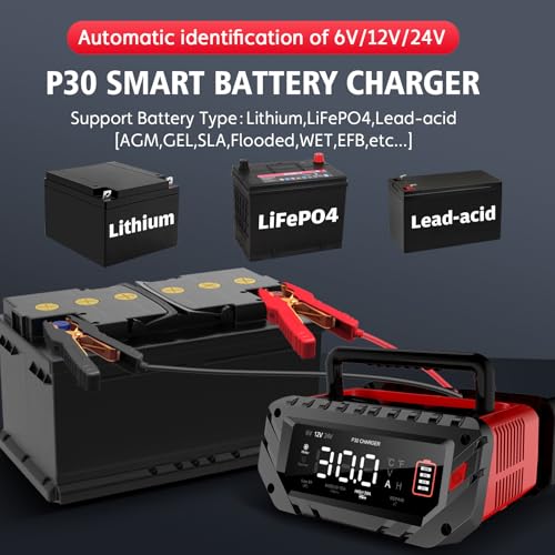 YHCHKJ 30 Amp 6V/12V/24V Smart Trickle Charger, Car Battery Charger, Lithium, Lifepo4, Lead Acid (AGM/Gel/SLA) Battery Maintainer, Desulfurizer for Car, Boat, Motorcycle, Lawn Mowers