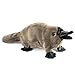 Folkmanis Baby Platypus Hand Puppet, Gray
