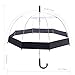Rainbrace Transparent Bubble Umbrella Auto Open, Fashion Dome Shape with Color Trim (Black)