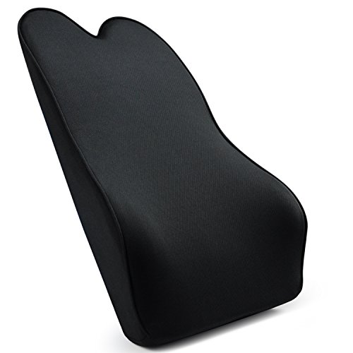 Dreamer Car Back Support Lumbar Cushion for Car Seat, Proper Firmness