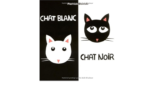 Chat Blanc Chat Noir Loulou Cie Bisinski Pierrick Pierrick Amazon Com Books