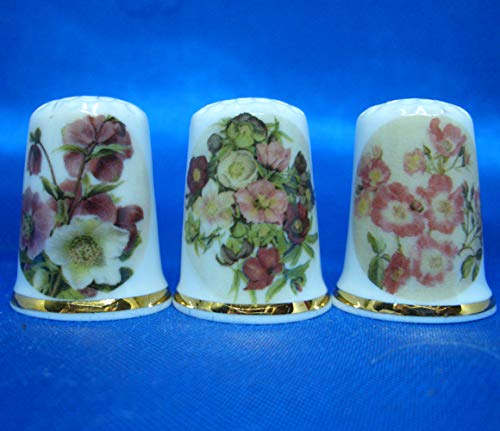 Birchcroft Porcelain China Collectable - Set of Three Thimbles - Botanical Flowers