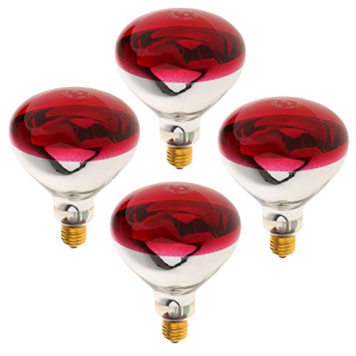 B Blesiya 4 Stück 220V E27 Wärmelampe Wärmespotlampe Infrarotlampe Terrarium Heizung Lampe - Typ 3-100W