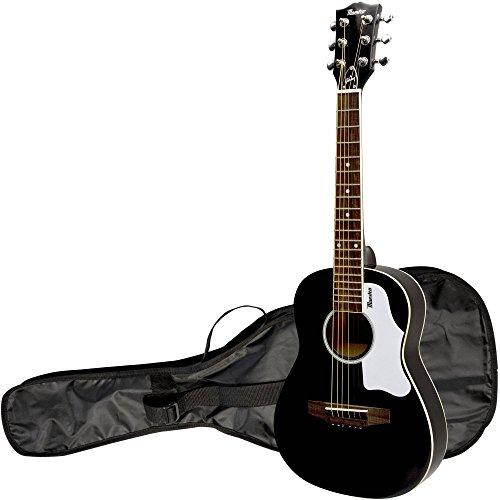 Gibson Maestro 30