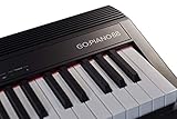 Roland GO-88P