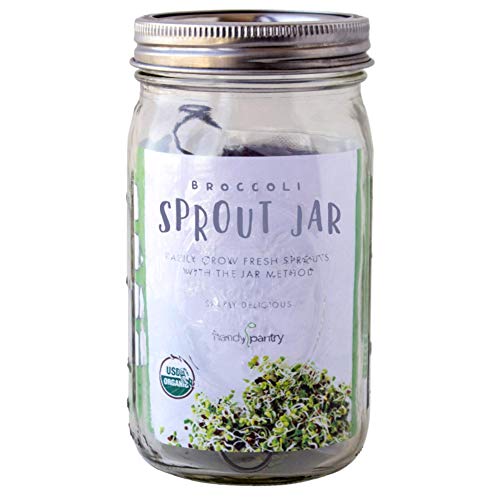 Broccoli Sprout Growing Kit Includes Mason Jar, 316 Stainless Steel