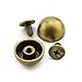 LQ Industrial 25pcs 1/2 inch Bronze Purse Handbag Feet Mushroom Type Nailhead Hollow Round Head Stud Metal Philip Screw-Back Spike Studs Rivet Leather Craft DIY 12mm