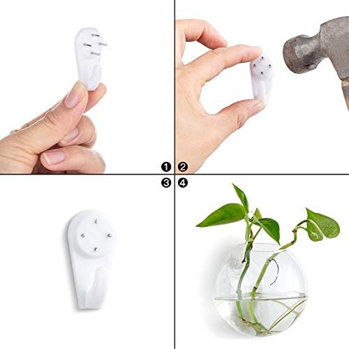 NUPTIO 4 Pcs Wall Hanging Glass Planters 10cm Diameter Round Glass Plant Pot - Image 3